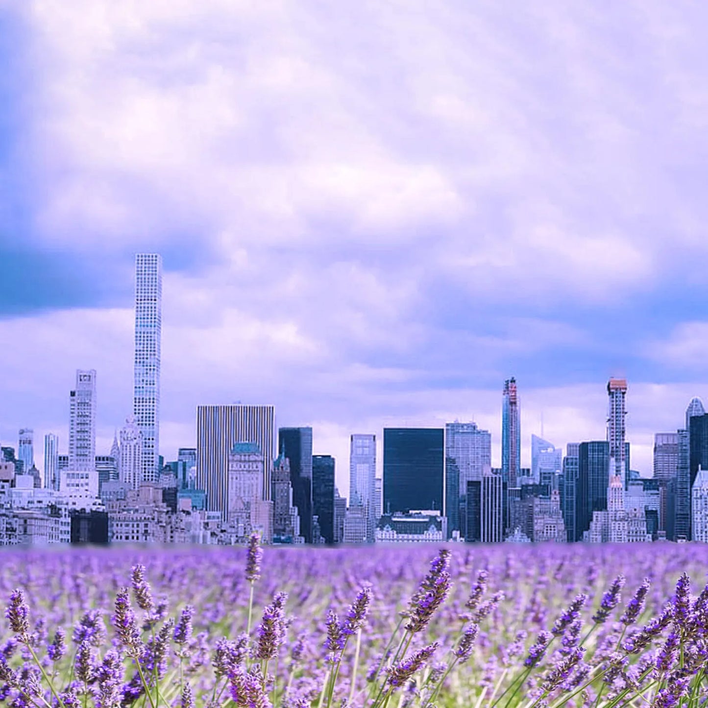 オードパルファン　ハーバルホライズン