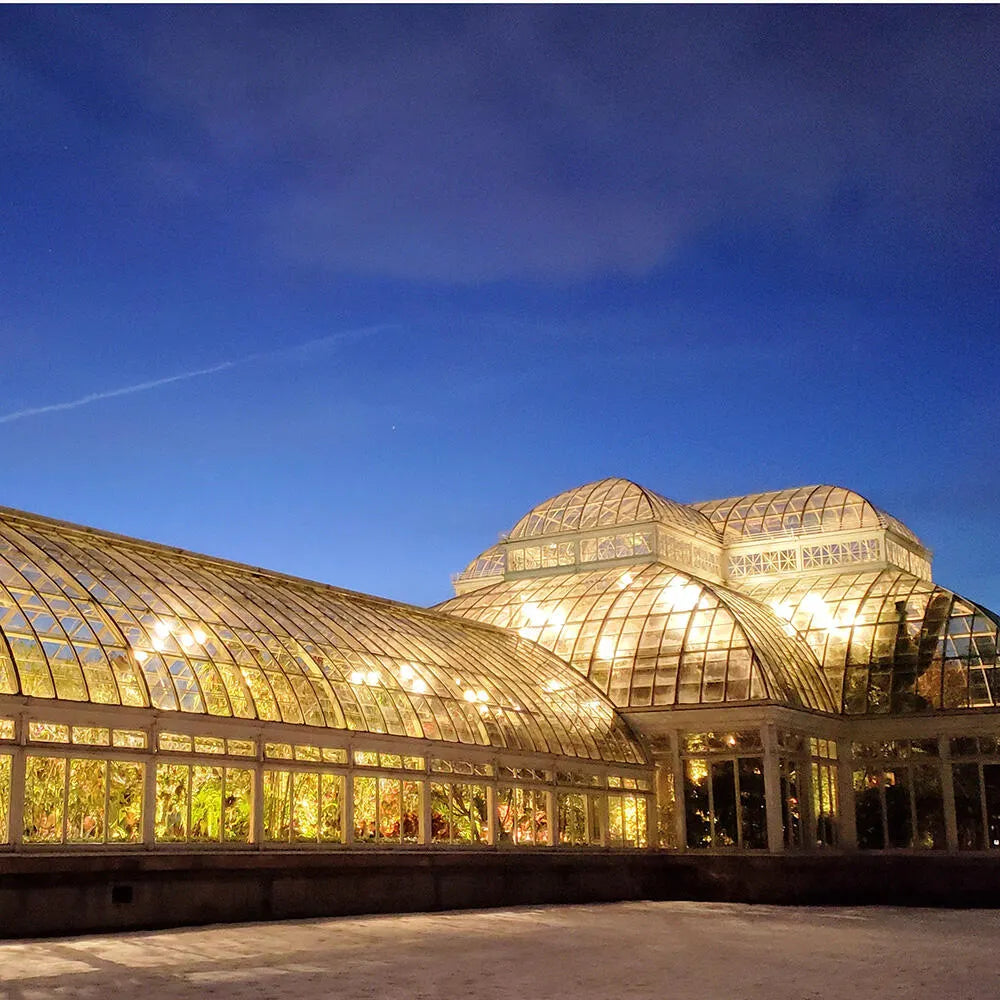 【For Women's サスティナブル/フレグランス/香水】オーキッド Perfume(パフューム) 初回検討/テスター用7.5mL