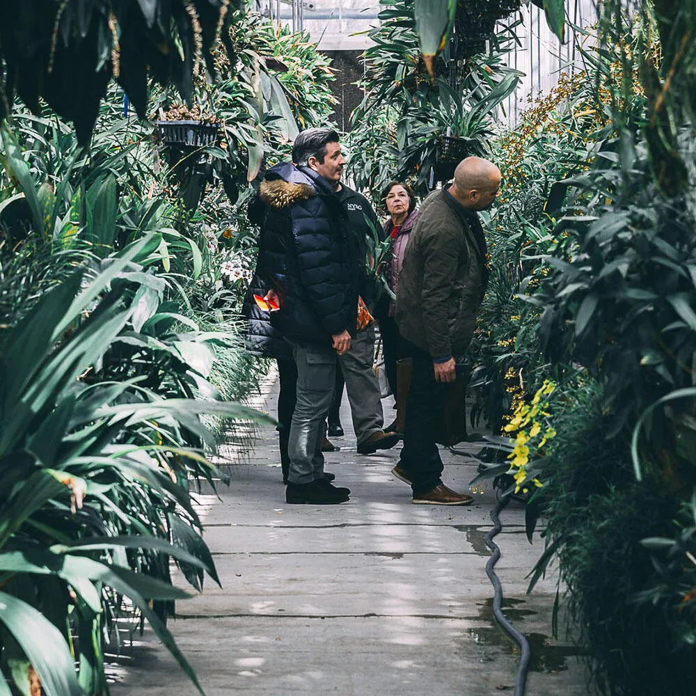 【For Women's サスティナブル/フレグランス/香水】オーキッド Perfume(パフューム) 初回検討/テスター用7.5mL