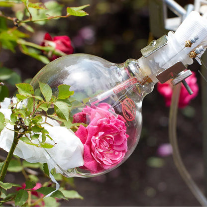 【For Women's サスティナブル/フレグランス/香水】ローズ Perfume(パフューム) 60mL