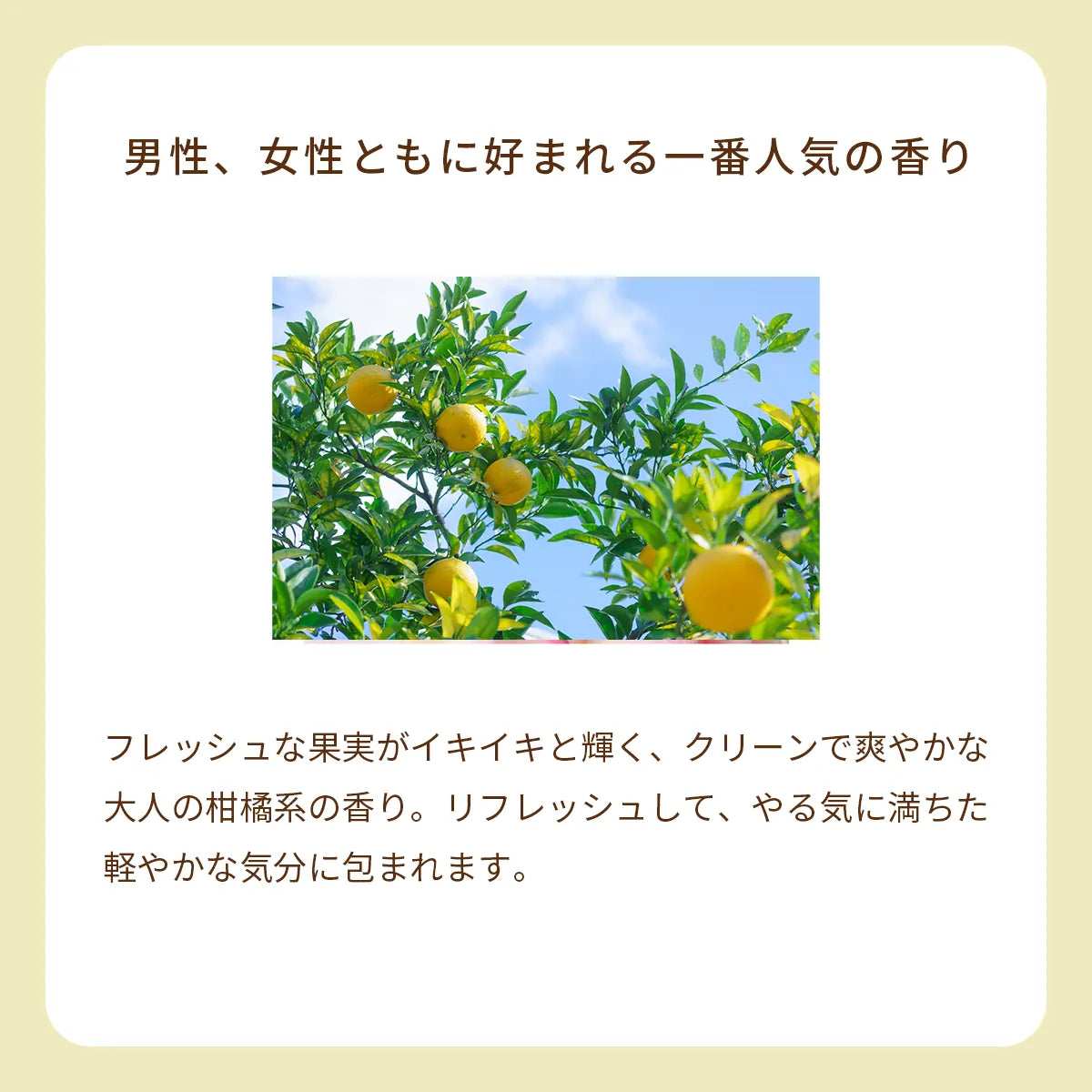 オーガニック香水 ピュアトリートメントパフューム 25ml イエロー 〜日本の柚子とジュニパーの香り〜　天然石タイガーアイ入り