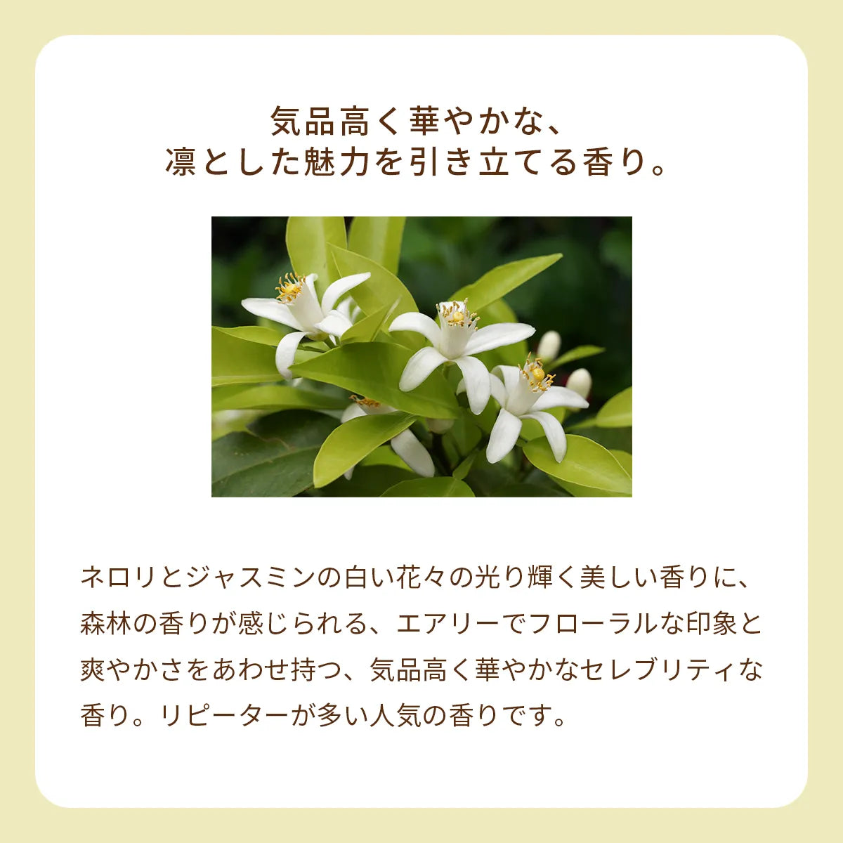 オーガニック香水 ピュアトリートメントパフューム 25ml ホワイト 〜ネロリとジャスミン、日本の高野槇の香り〜　天然石ホワイトジェイド入り