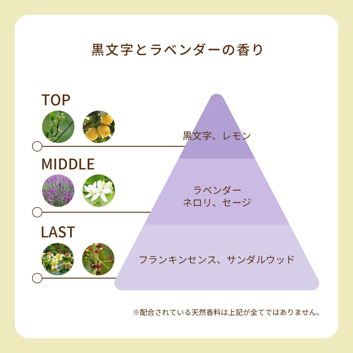 オーガニック香水 ピュアトリートメントパフューム 25ml バイオレット 〜日本の黒文字とラベンダーの香り〜　天然石アメシスト入り