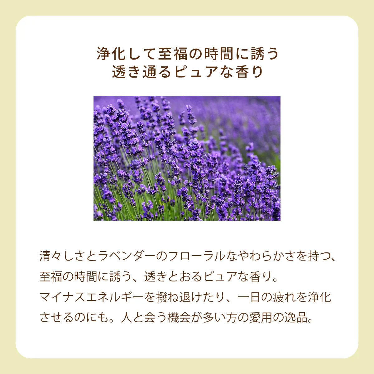 オーガニック香水 ピュアトリートメントパフューム 25ml バイオレット 〜日本の黒文字とラベンダーの香り〜　天然石アメシスト入り