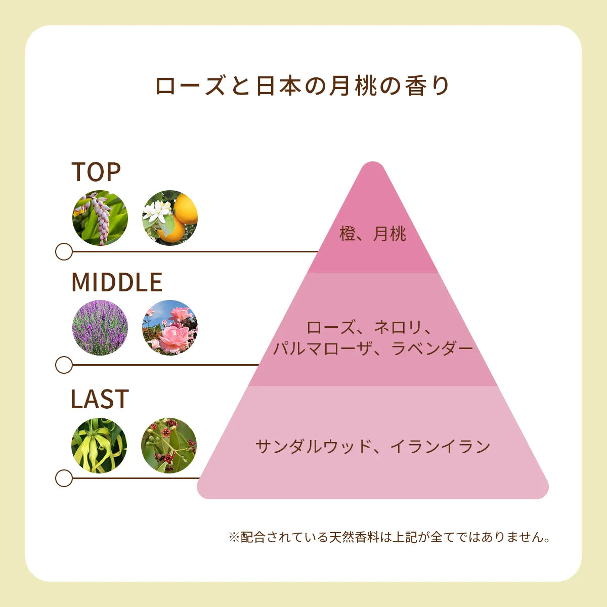 オーガニック香水 ピュアトリートメントパフューム 25ml ピンク 〜ローズと日本の月桃の香り〜　天然石ローズクォーツ入り