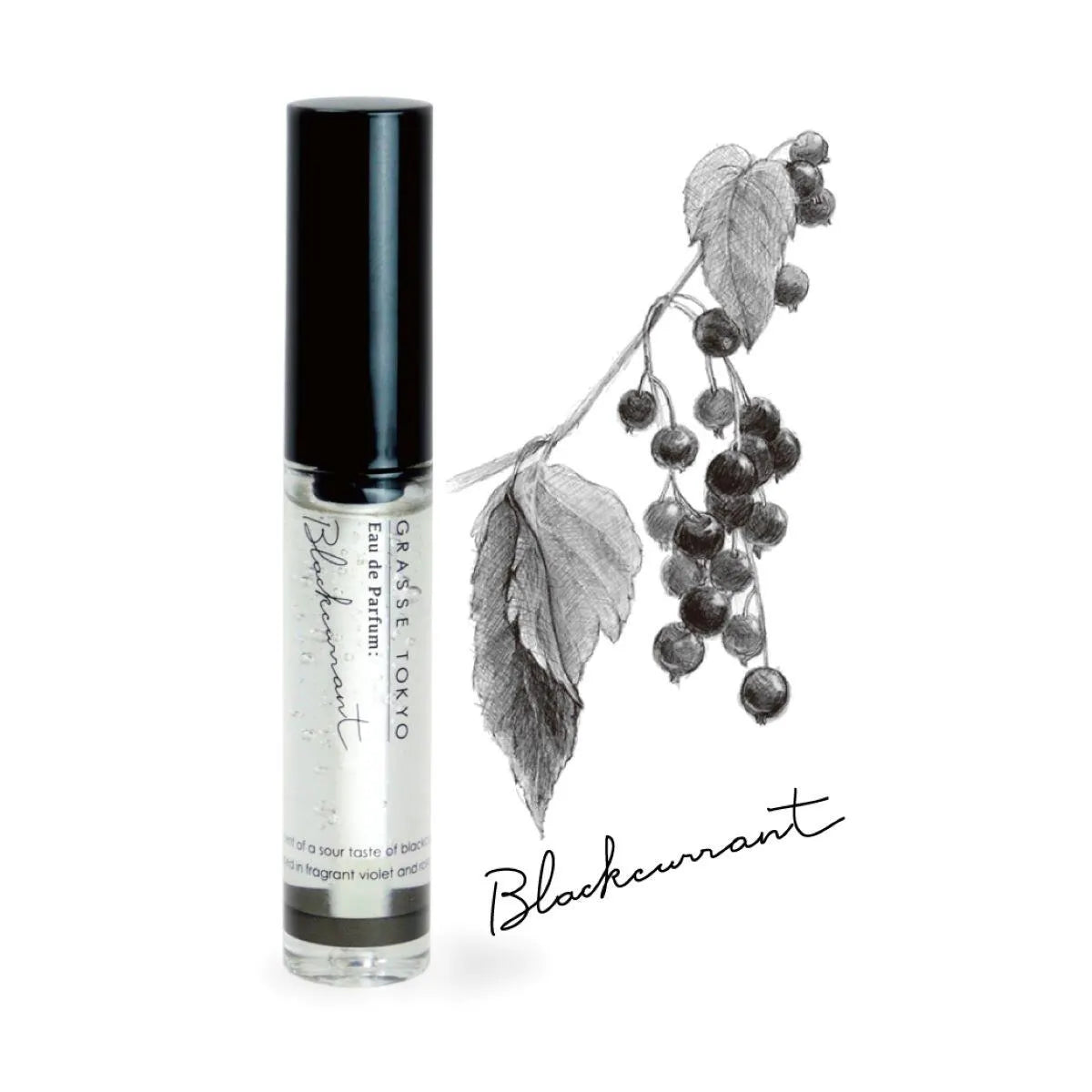 オードパルファン＜ジェル香水＞ - アルコールフリーのスティックタイプ ブラックカラント