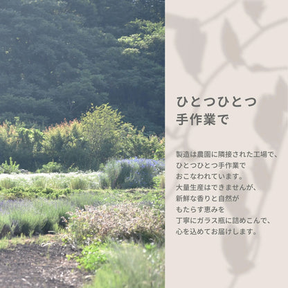 jote ♭5（フラット５）Perfume 30ml《水仙の香り》オードトワレ