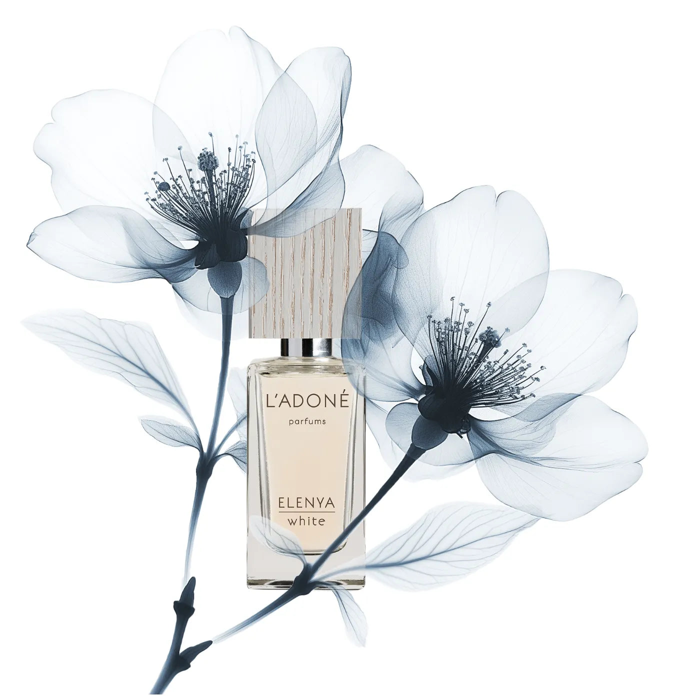 L'ADONÉ ELENYA white（ラドネ エレニア ホワイト）50mL スイス・チューリッヒ発のヴィーガン香水